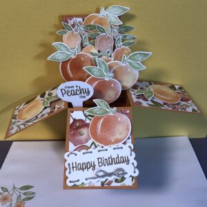 Box Pop-Up Card
