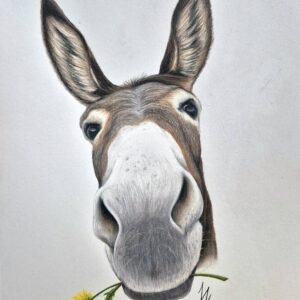 Hand-Drawn Donkey Print