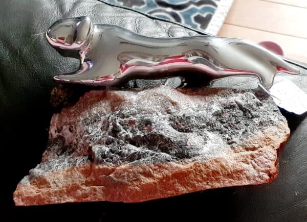 Cougar w/Pyrite Stone On Thunder Bay Ontario Stone