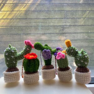 Cactus