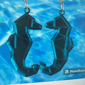 Hippocampus