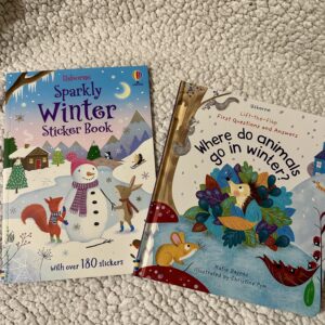 Winter Book & Activity Bundle
