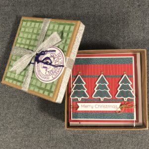 Chrismas Cards Box Set (12)