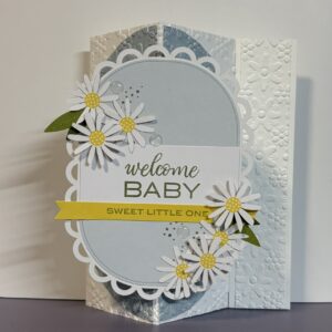 Baby Fancy Fold Card
