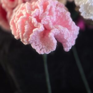 Crochet Carnations