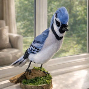 Blue Jay