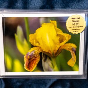 Greeting Card Box Set - Flowers