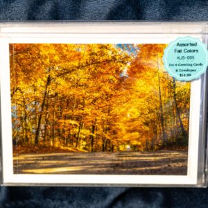Greeting Card Box Set - Fall Leaves