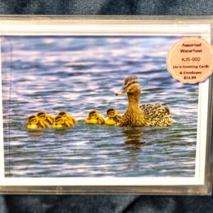 Greeting Card Box Set - Waterfowl