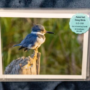 Greeting Card Box Set - Song Birds