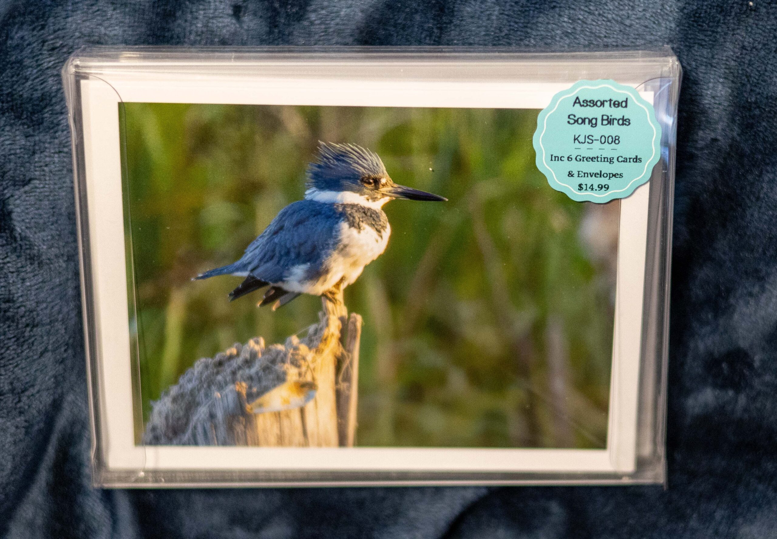 Greeting Card Box Set - Song Birds