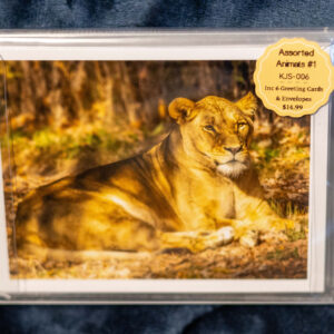 Greet Card Box Set - Animals(set 1)