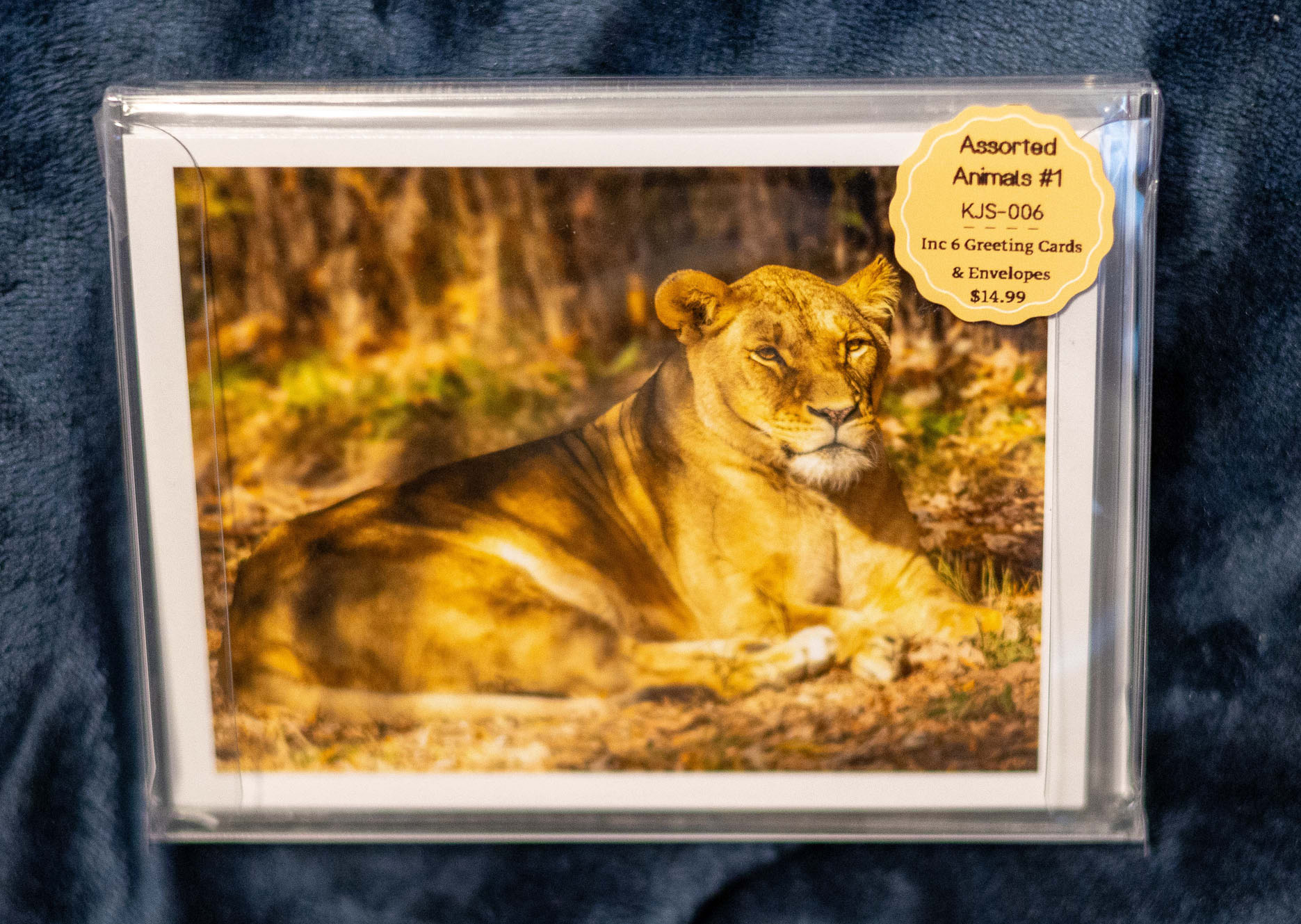 Greet Card Box Set - Animals(set 1)