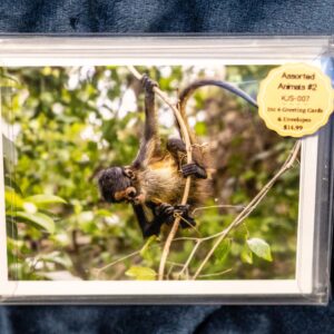 Greeting Card Box Set - Animals(set 2)