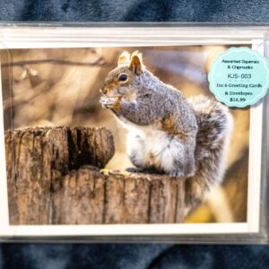Greeting Card Box Set -Squirrels/Chipmunks