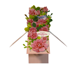 Pop-Up Box Card - Hello