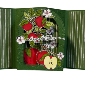 Birthday Fun Fold - WInged Gatefold Card